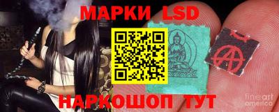 гидропоника Донской