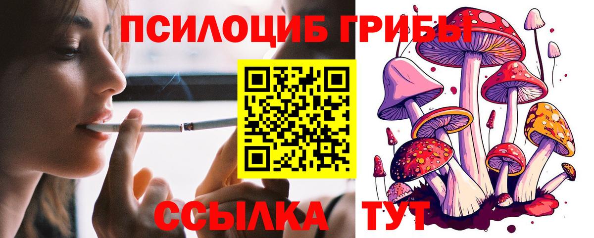 Каменка  Псилоцибиновые грибы Psilocybine cubensis  Вход с VPN 
