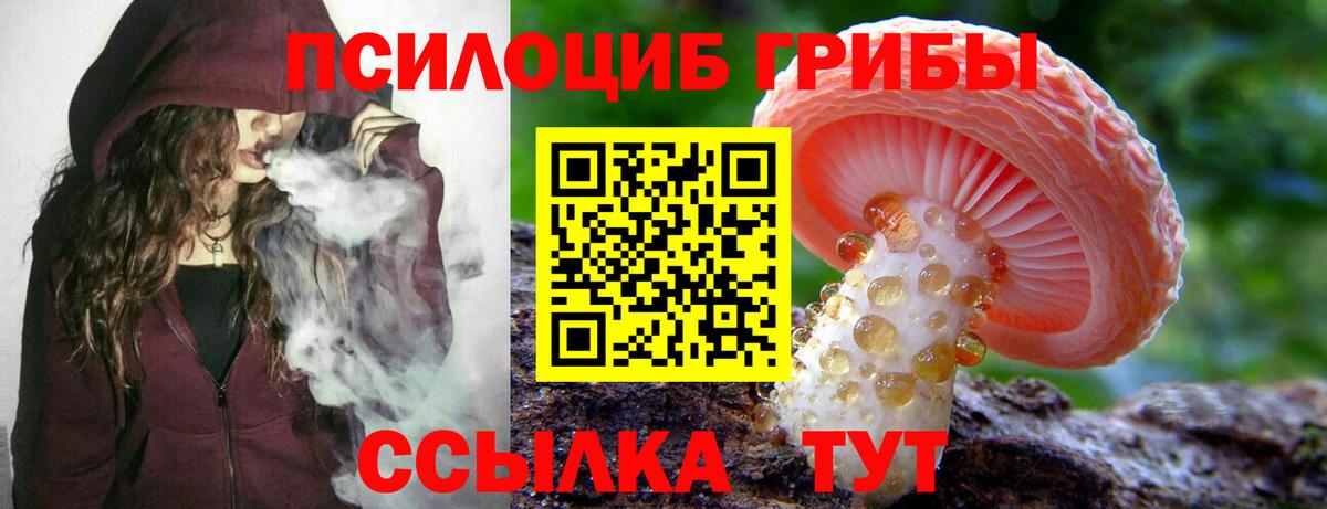 Галлюциногенные грибы GOLDEN TEACHER Каменка